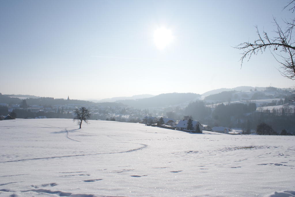 Gasthof 'Zum Alten Turm' Haslach an der Mühl 外观 照片