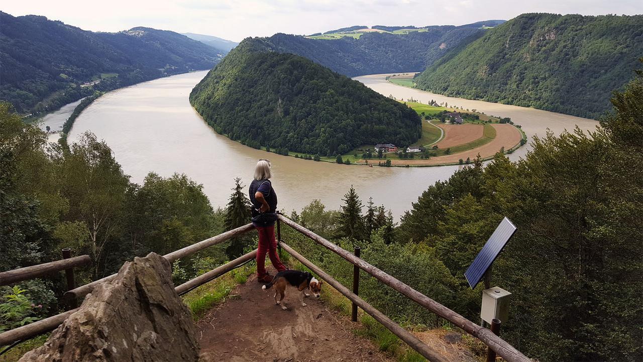 Gasthof 'Zum Alten Turm' Haslach an der Mühl 外观 照片